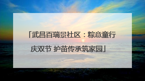 武昌百瑞景社区：粽意童行庆双节 护苗传承筑家园
