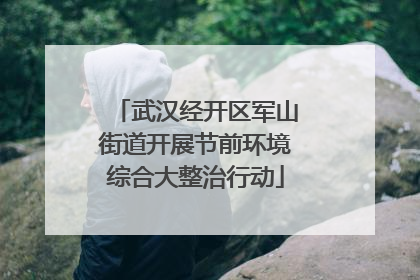 武汉经开区军山街道开展节前环境综合大整治行动