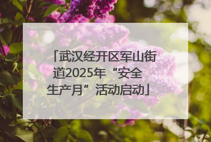 武汉经开区军山街道2025年“安全生产月”活动启动