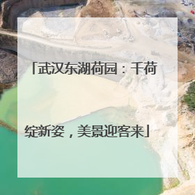 武汉东湖荷园：千荷绽新姿，美景迎客来