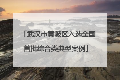 武汉市黄陂区入选全国首批综合类典型案例