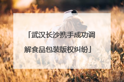 武汉长沙携手成功调解食品包装版权纠纷