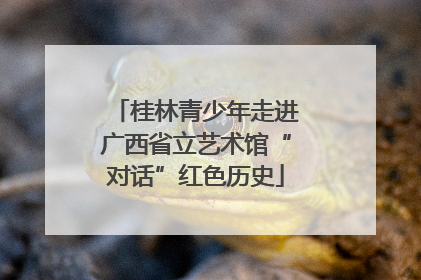 桂林青少年走进广西省立艺术馆“对话”红色历史