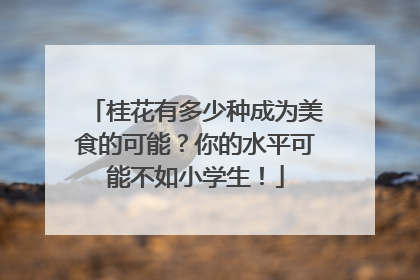 桂花有多少种成为美食的可能？你的水平可能不如小学生！