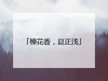 楝花香，夏正浅