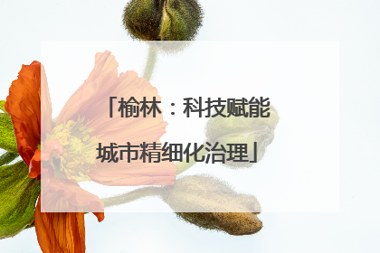榆林：科技赋能城市精细化治理