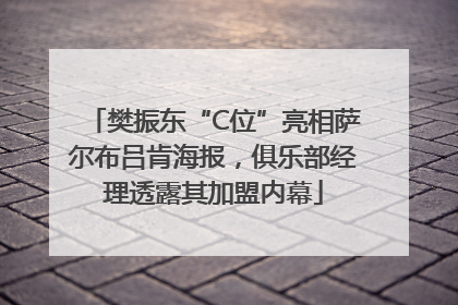 樊振东“C位”亮相萨尔布吕肯海报，俱乐部经理透露其加盟内幕
