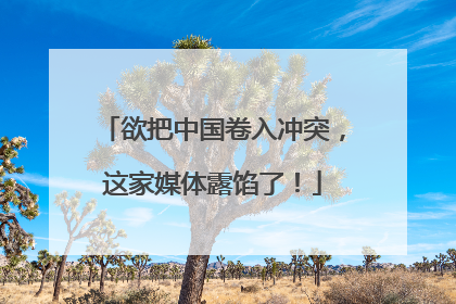 欲把中国卷入冲突，这家媒体露馅了！