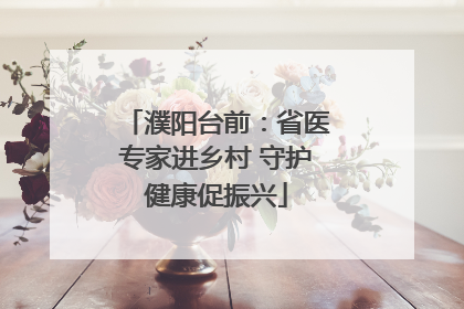 濮阳台前：省医专家进乡村 守护健康促振兴