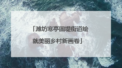 潍坊寒亭固堤街道绘就美丽乡村新画卷