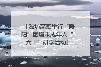 潍坊高密举行“暖阳”困境未成年人“六一”研学活动