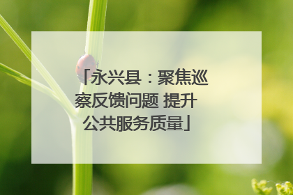 永兴县：聚焦巡察反馈问题 提升公共服务质量