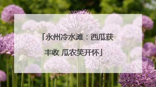 永州冷水滩：西瓜获丰收 瓜农笑开怀