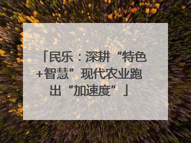 民乐：深耕“特色+智慧”现代农业跑出“加速度”