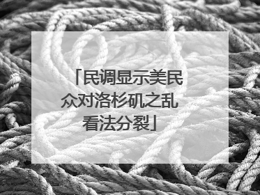 民调显示美民众对洛杉矶之乱看法分裂