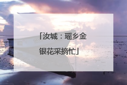 汝城：瑶乡金银花采摘忙