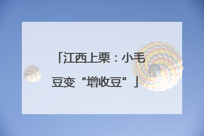 江西上栗：小毛豆变“增收豆”