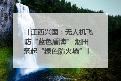 江西兴国：无人机飞防“蓝色盾牌” 烟田筑起“绿色防火墙”