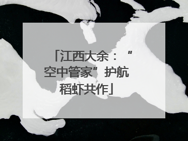 江西大余：“空中管家”护航稻虾共作
