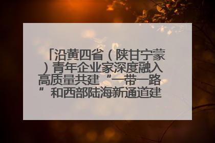 沿黄四省（陕甘宁蒙）青年企业家深度融入高质量共建“一带一路”和西部陆海新通道建设战略合作交流会在甘肃兰州召开