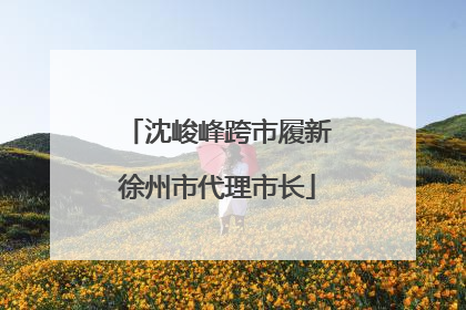 沈峻峰跨市履新徐州市代理市长