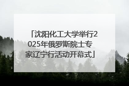 沈阳化工大学举行2025年俄罗斯院士专家辽宁行活动开幕式