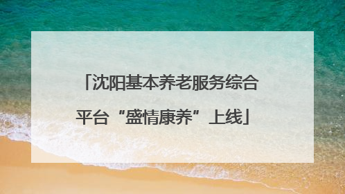 沈阳基本养老服务综合平台“盛情康养”上线