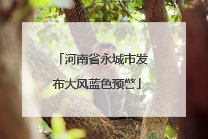 河南省永城市发布大风蓝色预警