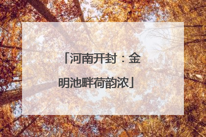 河南开封：金明池畔荷韵浓