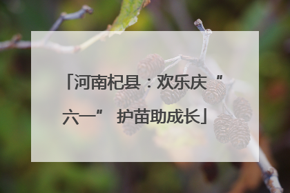 河南杞县：欢乐庆“六一” 护苗助成长