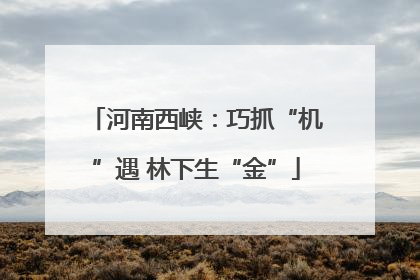 河南西峡：巧抓“机”遇 林下生“金”