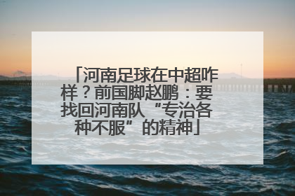 河南足球在中超咋样？前国脚赵鹏：要找回河南队“专治各种不服”的精神
