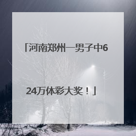 河南郑州一男子中624万体彩大奖！