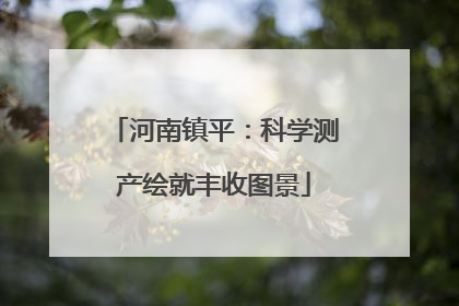 河南镇平：科学测产绘就丰收图景