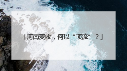 河南麦收，何以“顶流”？