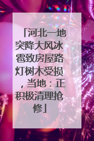 河北一地突降大风冰雹致房屋路灯树木受损，当地：正积极清理抢修