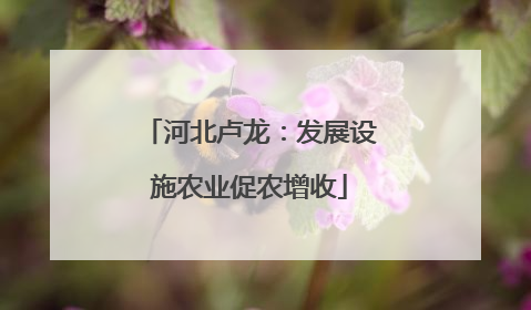 河北卢龙：发展设施农业促农增收