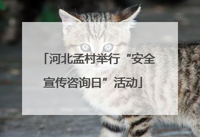 河北孟村举行“安全宣传咨询日”活动