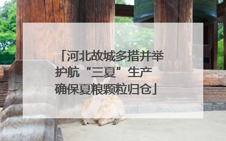 河北故城多措并举护航“三夏”生产 确保夏粮颗粒归仓