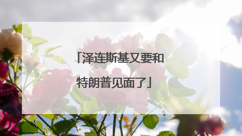 泽连斯基又要和特朗普见面了