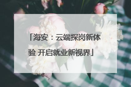 海安：云端探岗新体验 开启就业新视界