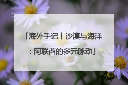 海外手记丨沙漠与海洋：阿联酋的多元脉动