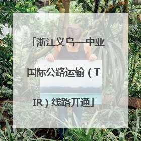浙江义乌—中亚国际公路运输（TIR）线路开通