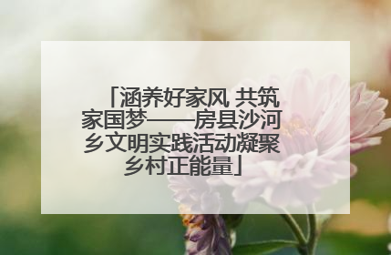 涵养好家风 共筑家国梦——房县沙河乡文明实践活动凝聚乡村正能量