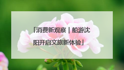 消费新观察｜船游沈阳开启文旅新体验