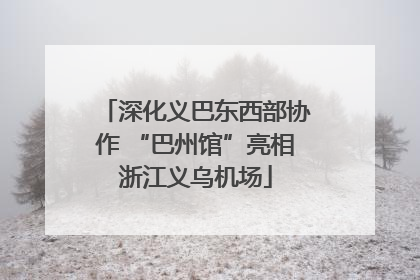 深化义巴东西部协作 “巴州馆”亮相浙江义乌机场