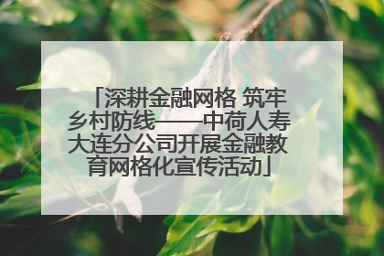 深耕金融网格 筑牢乡村防线——中荷人寿大连分公司开展金融教育网格化宣传活动