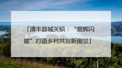 清丰县城关镇：“星辉闪耀”打造乡村共富新图景