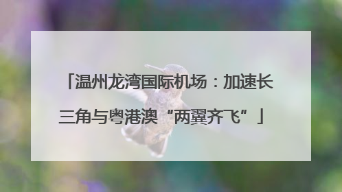 温州龙湾国际机场：加速长三角与粤港澳“两翼齐飞”