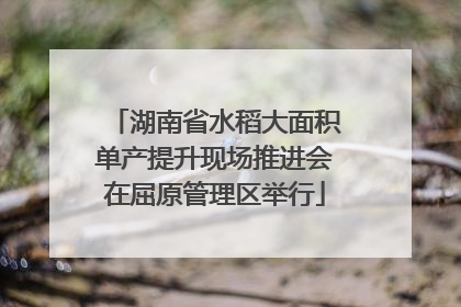 湖南省水稻大面积单产提升现场推进会在屈原管理区举行